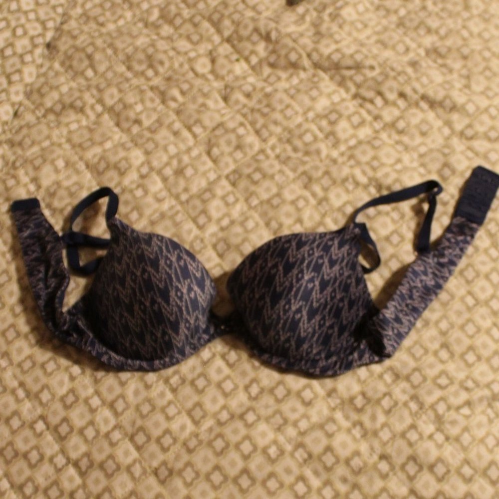Maidenform Pushup Blue and gray bra